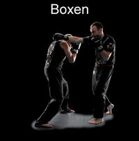 Boxen